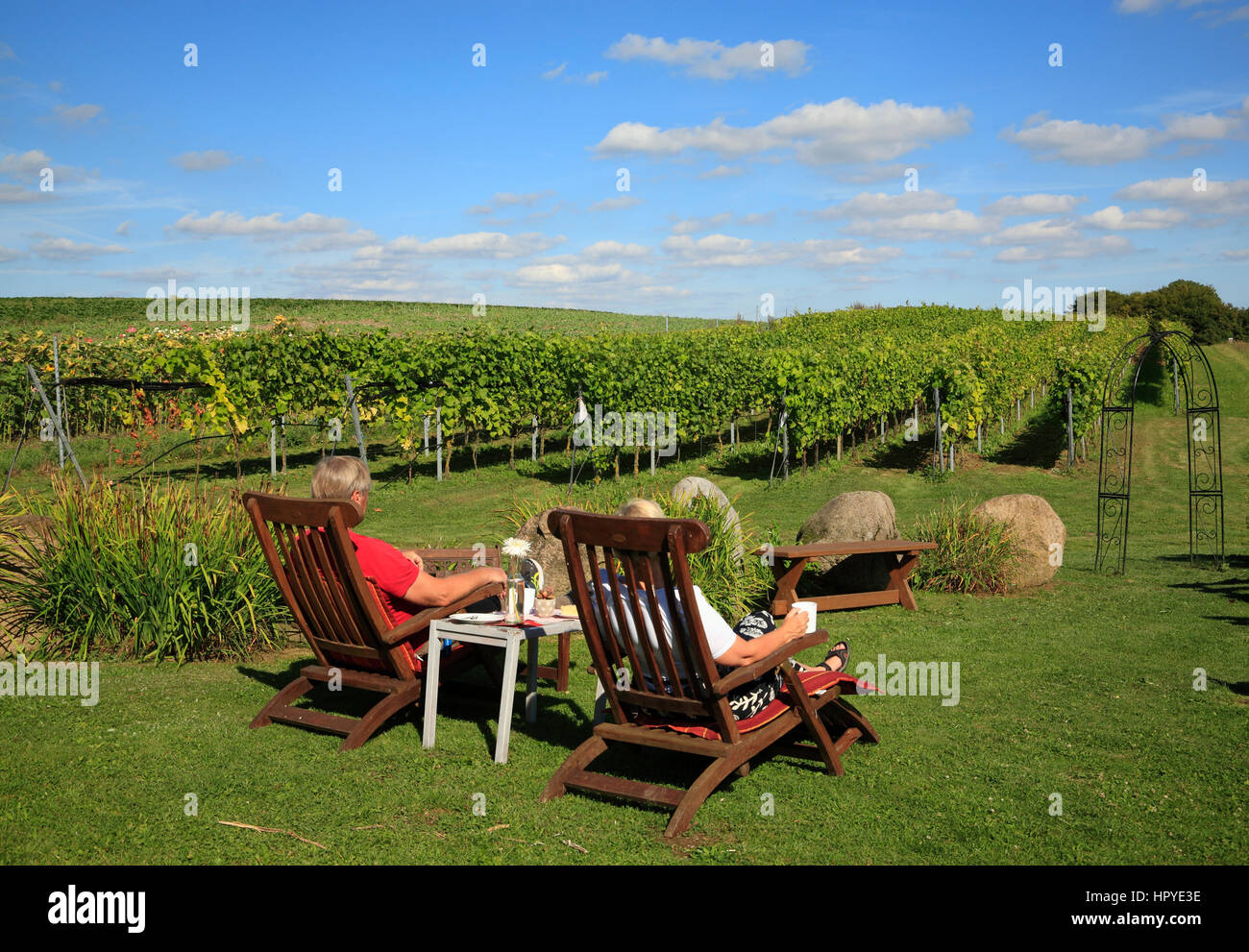 Weinanbau Wine Growing At Ingenhof Vineyard And A Garden Cafe