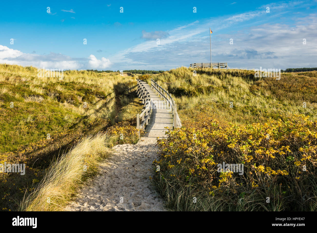 Dunes on the North Sea coast on the island Amrum, Germany Stock Photo ...