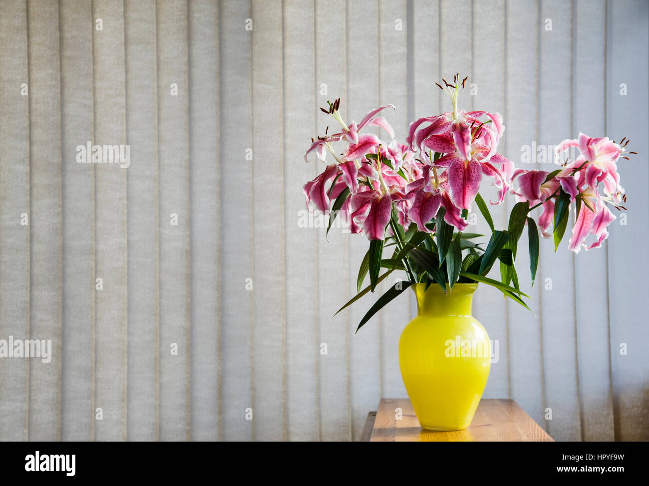 Lilies by the window Stock Photo