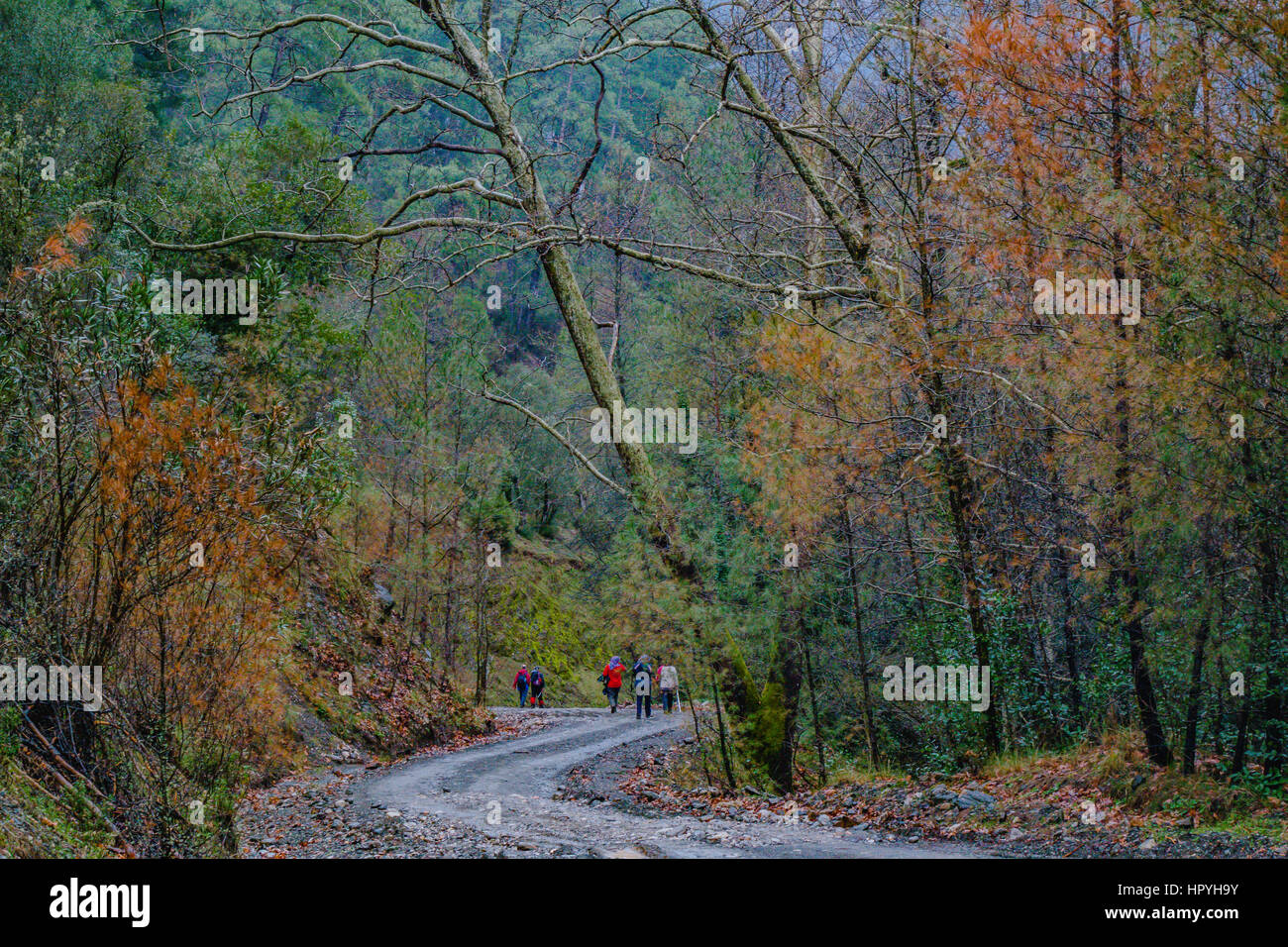 Perfect autumn scene,people are walking in the forest folllowing the hiking pathway covered with colourfull trees. muhtesem sonbahar manzarasi Stock Photo