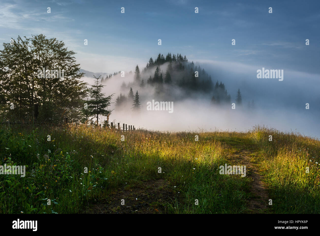 Ukraine. Carpathian Summer landscape with green meadows, mountain peaks and fog Stock Photo
