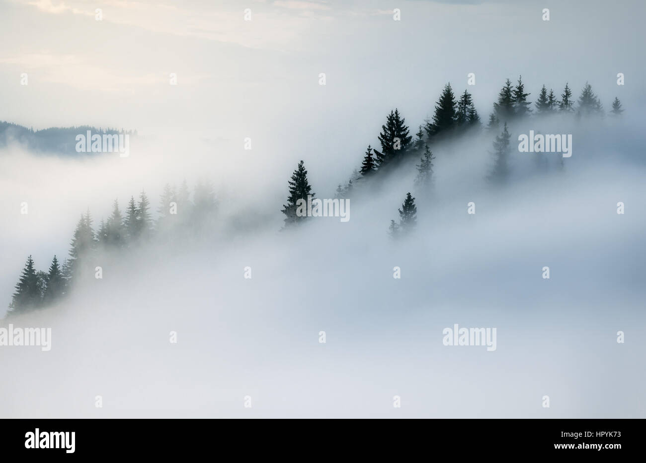 Ukraine. Carpathian Summer landscape with green meadows, mountain peaks and fog Stock Photo