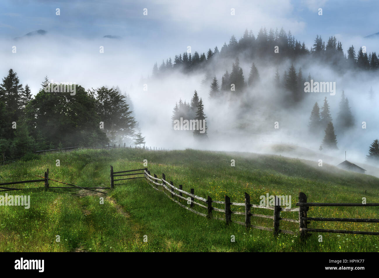 Ukraine. Carpathian Summer landscape with green meadows, mountain peaks and fog Stock Photo