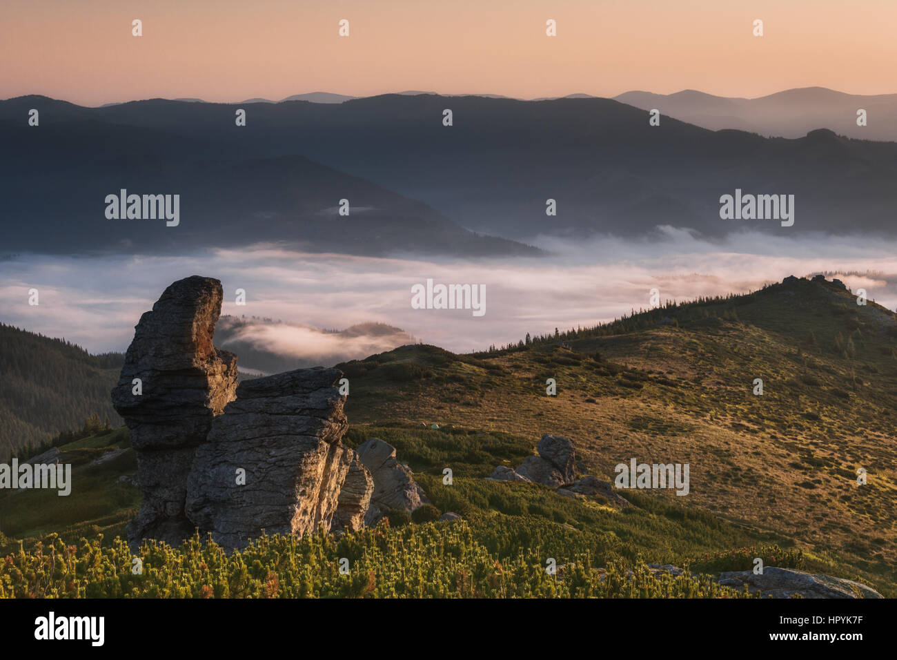 Ukraine. Carpathian Summer landscape with green meadows, mountain peaks and fog Stock Photo