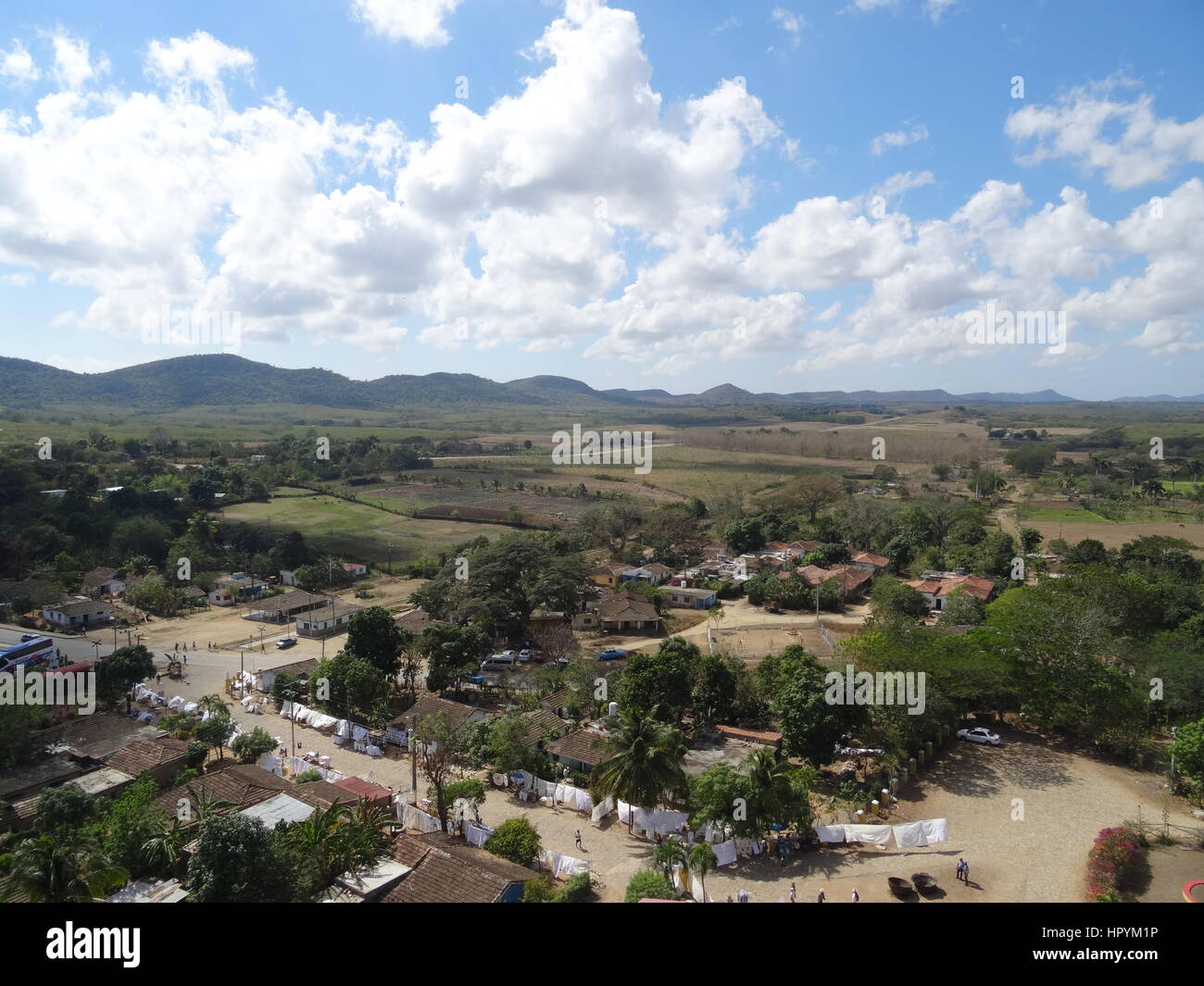Field of sugar cane, trinidad hires stock photography and images Alamy