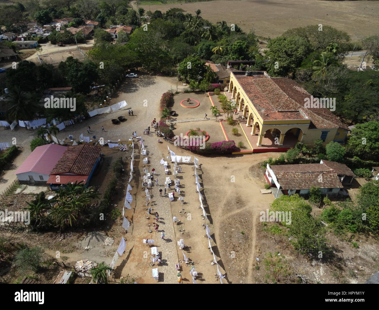 Field of sugar cane, trinidad hires stock photography and images Alamy