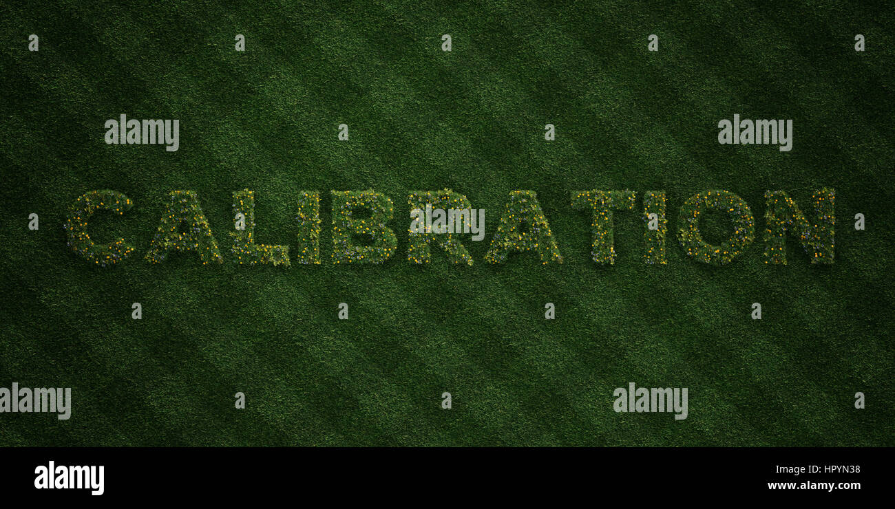 CALIBRATION fresh Grass letters with flowers and dandelions 3D rendered royalty free stock