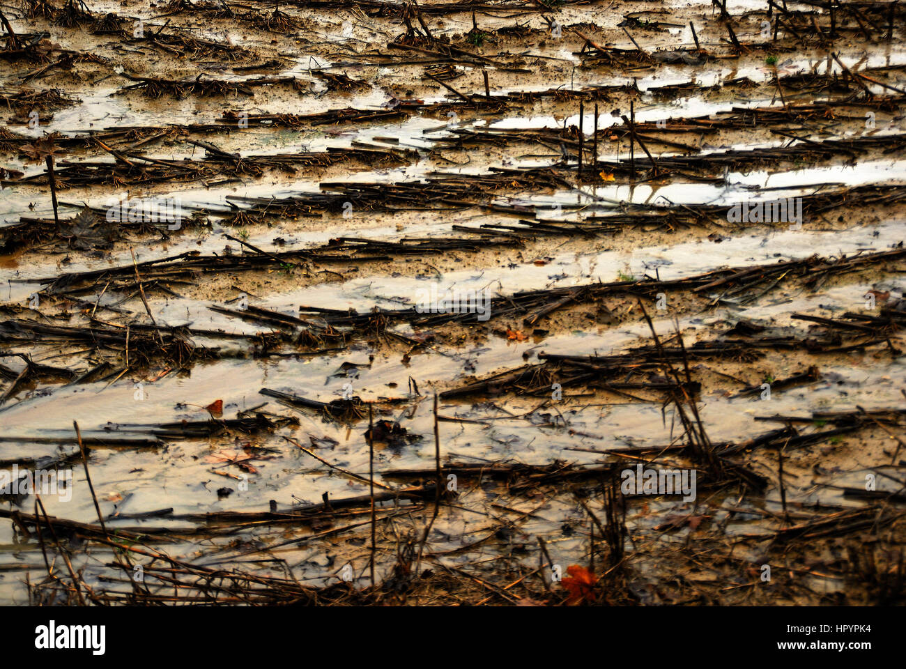 Bad weather in Italy. Heavy rains have flooded the fields