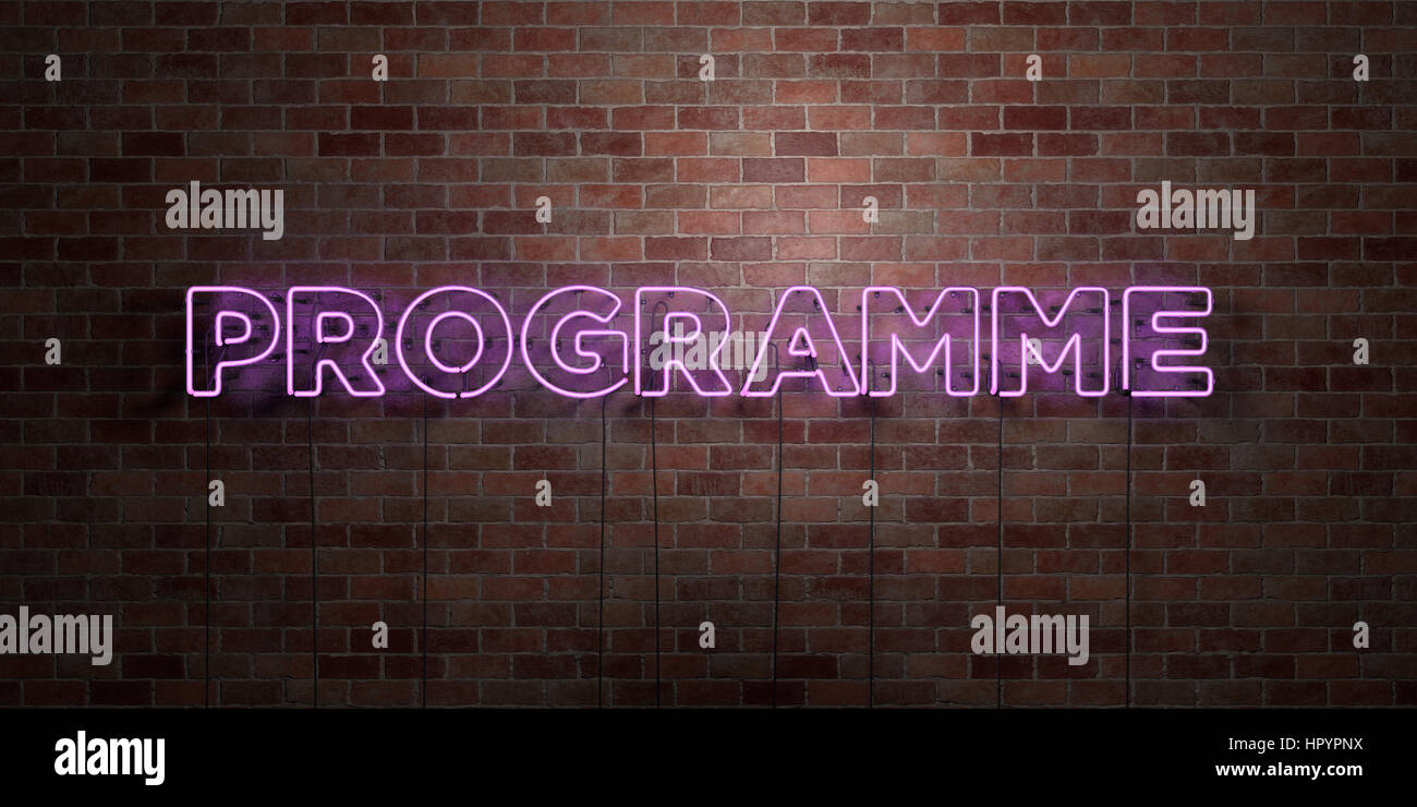 PROGRAMME - fluorescent Neon tube Sign on brickwork - Front view - 3D ...