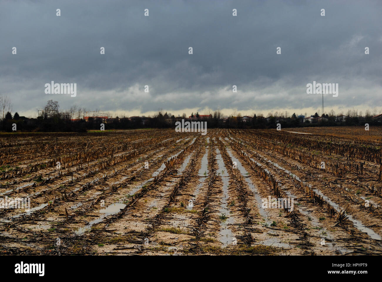 Bad weather in Veneto, Italy.  Heavy rains have flooded the fields causing extensive damage to agriculture. In photo Cadoneghe, Province of Padua. Stock Photo
