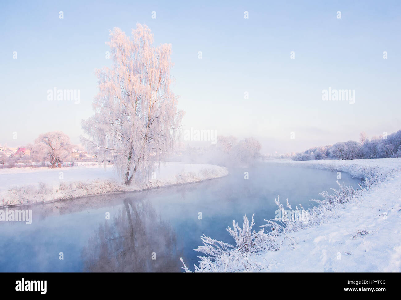 Frosty trees in the cold winter morning Stock Photo
