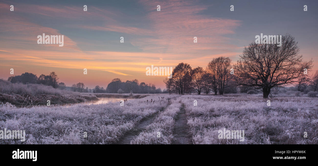 Frosty winter sunrise with white frosty grass covered by hoarfrost Stock Photo