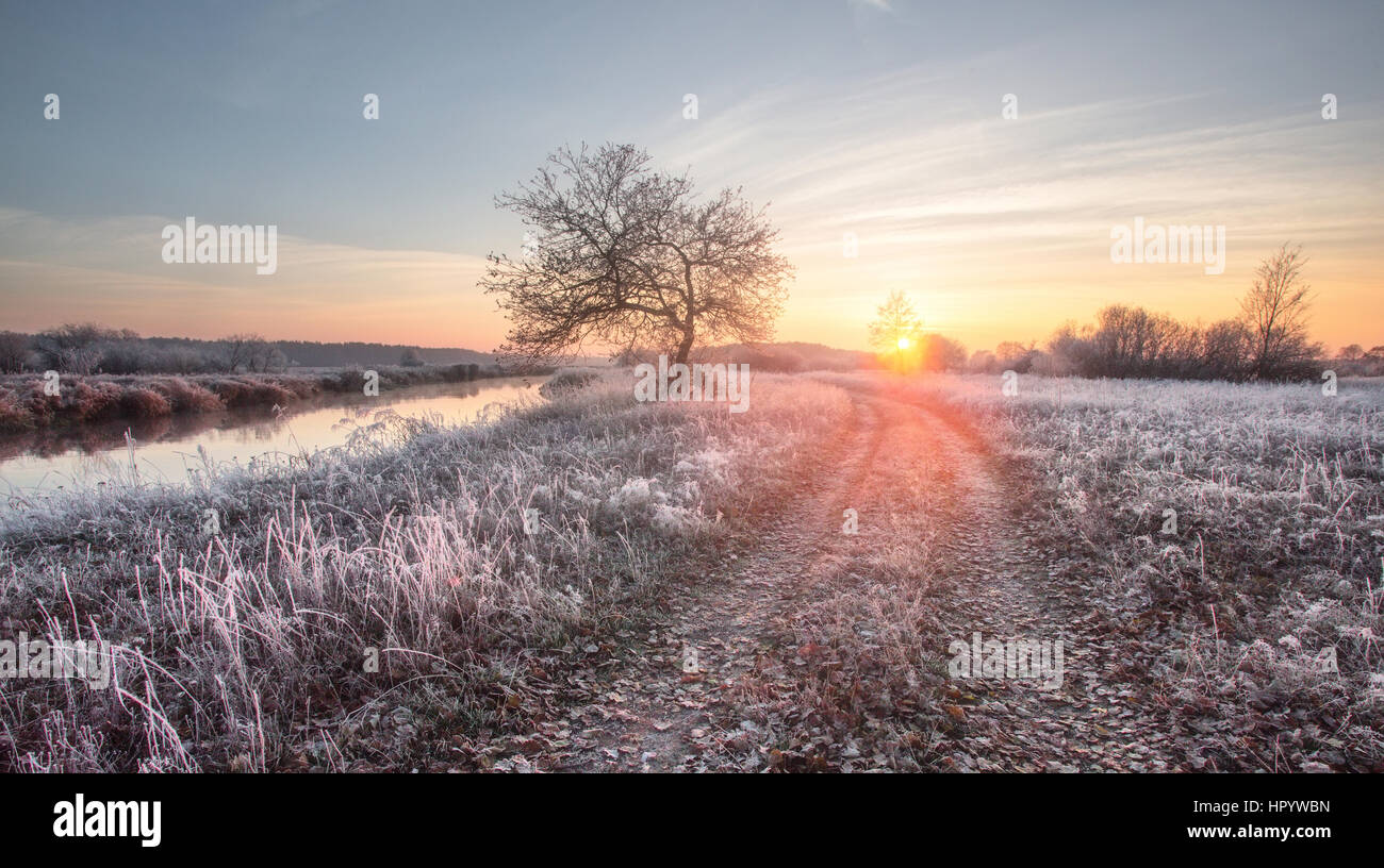 Winter sunrise over the frosty field near the lake Stock Photo