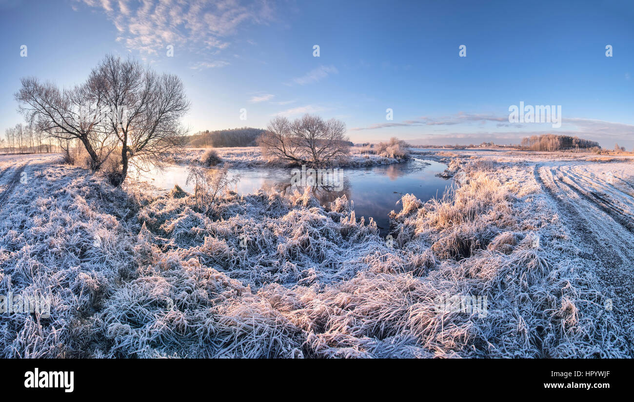foggy winter sunrise with frozen grass and trees Stock Photo