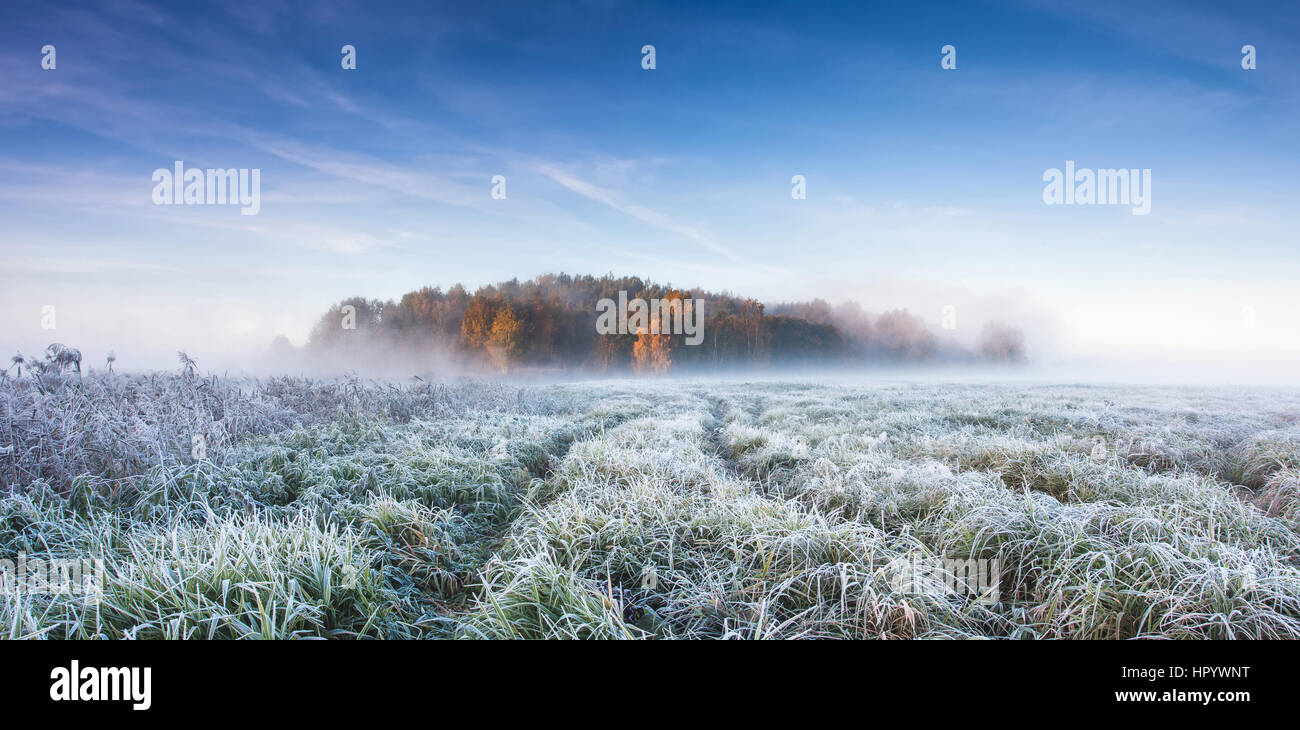 Cold frosty winter morning with frozen grass on field. Stock Photo