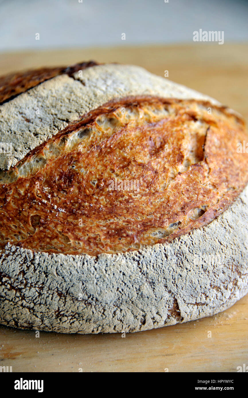 Homemade artisan round white sourdough bread loaf made from natural ...
