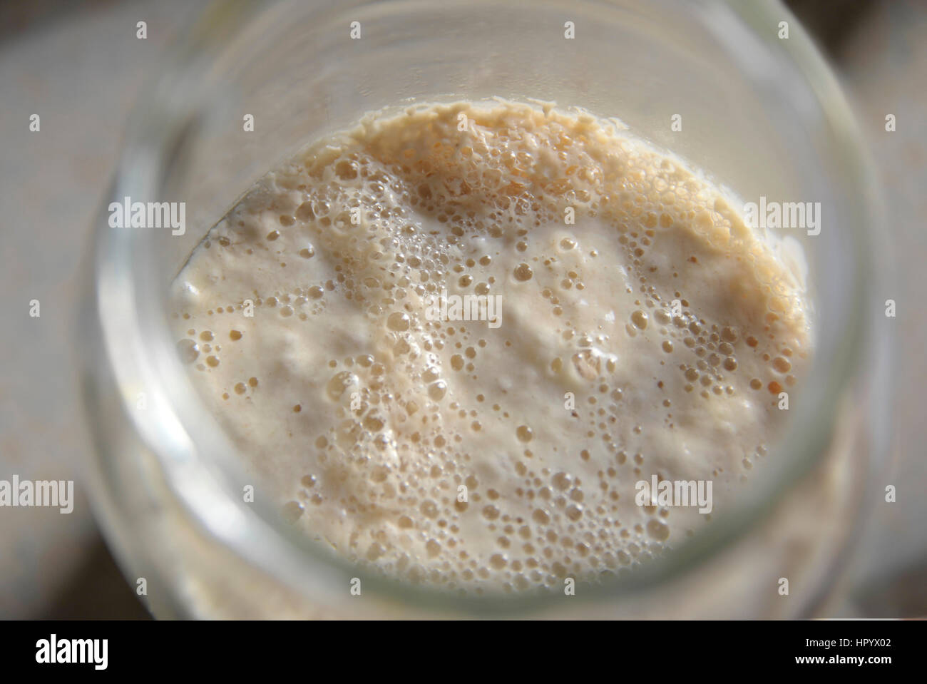 Natural yeast sourdough starter culture used to raise doughs when