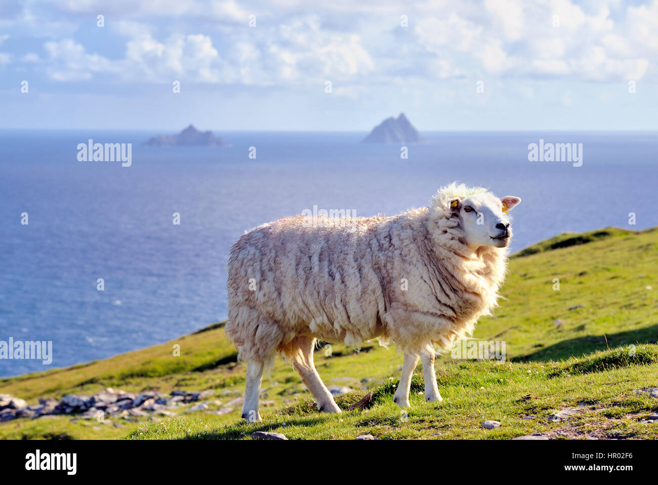 Bray head ireland hires stock photography and images Alamy