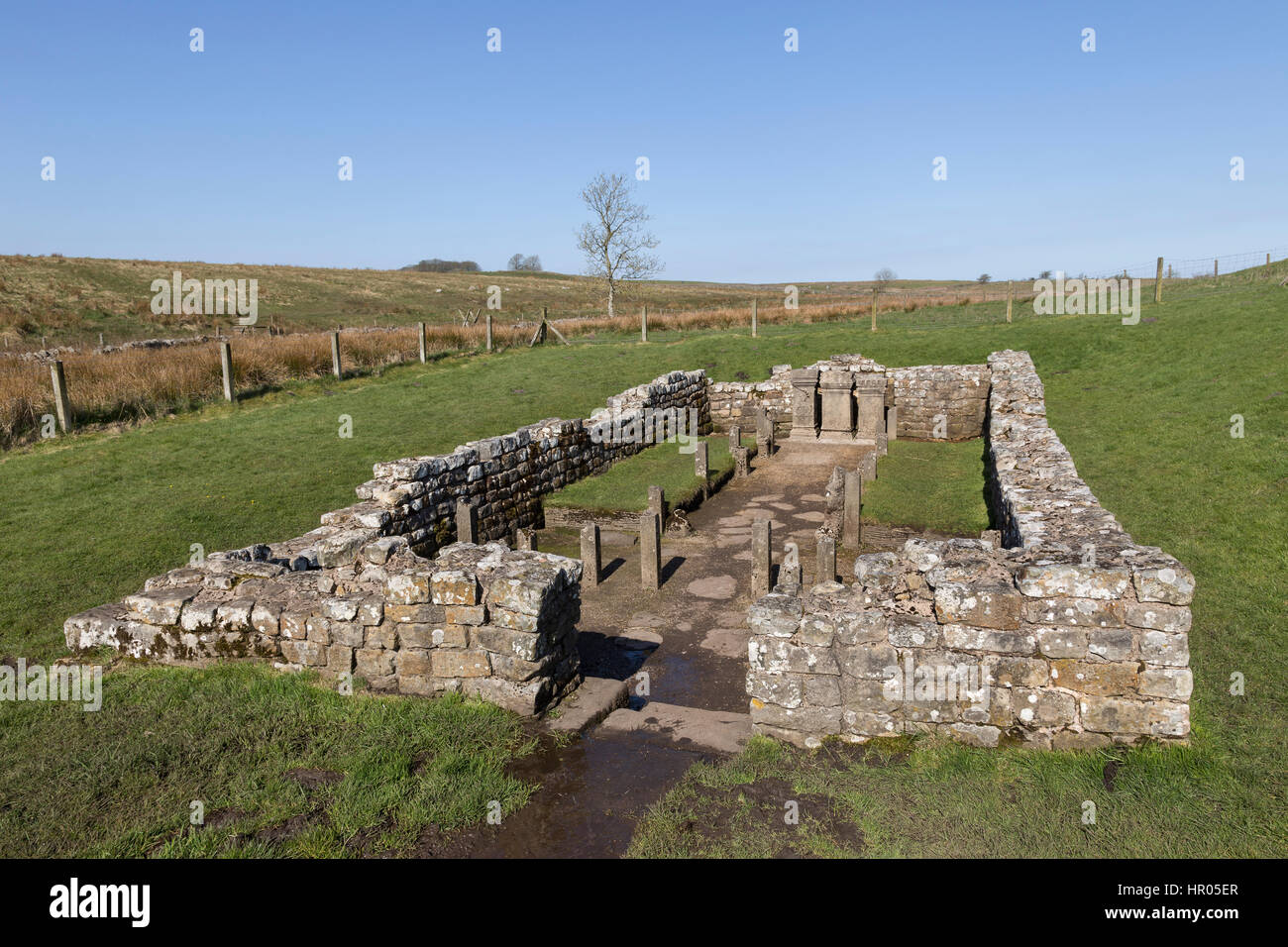 Hadrian's Wall: the remains of the Mithraeum near Carrawburgh (Brocilitia) Roman fort, Northumberland Stock Photo