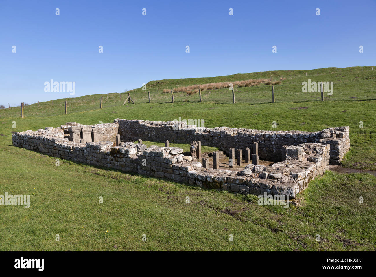 Hadrian's Wall: the remains of the Mithraeum near Carrawburgh (Brocilitia) Roman fort, Northumberland Stock Photo