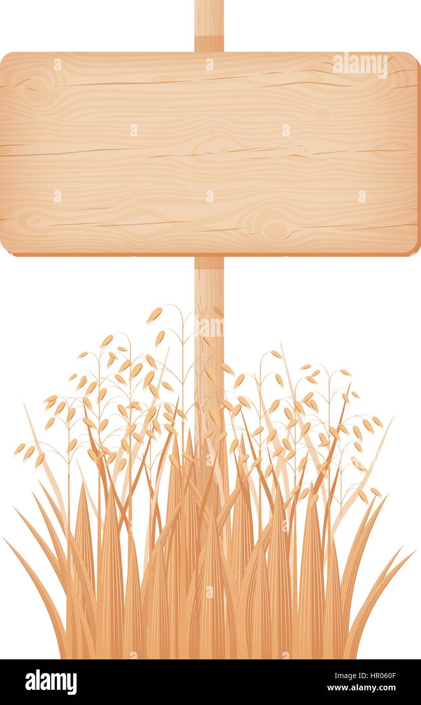 Wooden rectangular signboard with knots and cracks on a pole at the oat field vector illustration Stock Vector