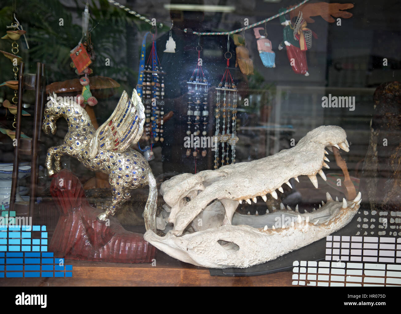 Crocodile skull in the gift shop, Crocodile Farm Samut Prakan Stock Photo