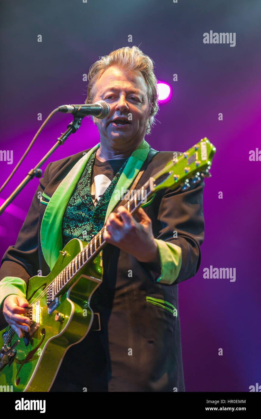 Stray cats band hi-res stock photography and images - Alamy