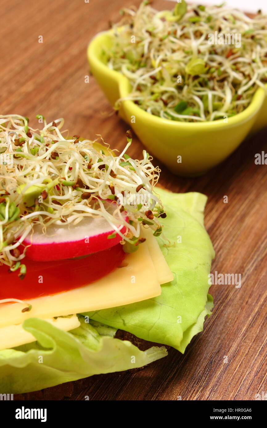 Freshly prepared vegetarian sandwich and green bowl with alfalfa and