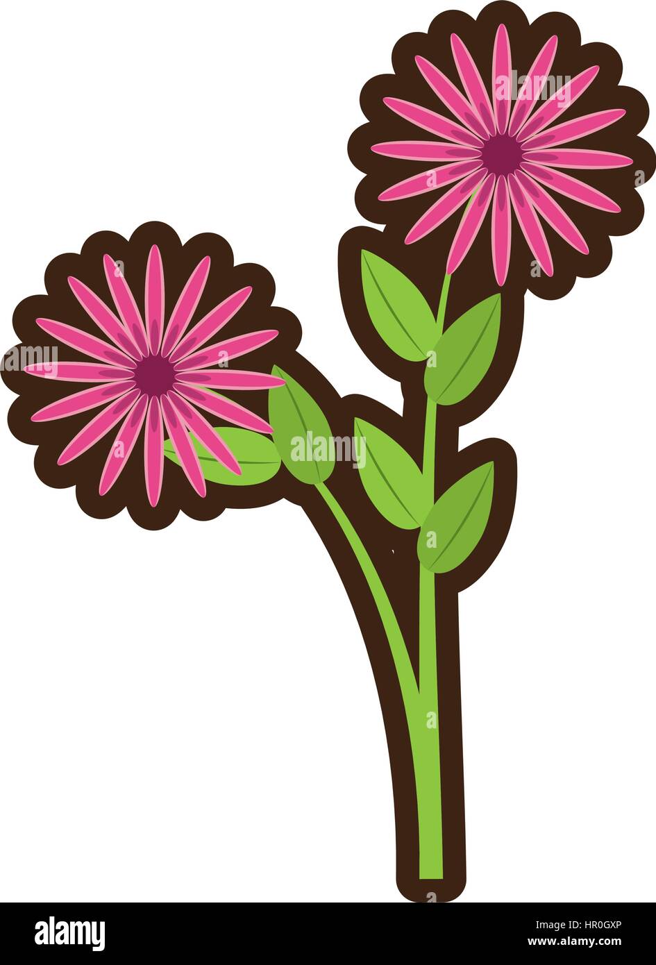 cartoon daisy flowers bunch flora Stock Vector Image & Art Alamy