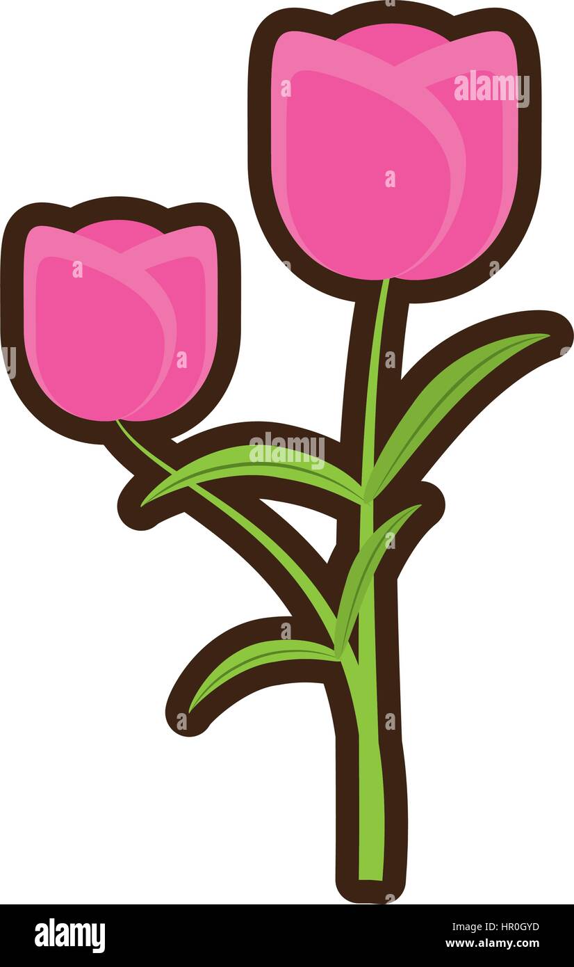 Cartoon Tulip Flower Romantic Plant Stock Vector Image Art Alamy