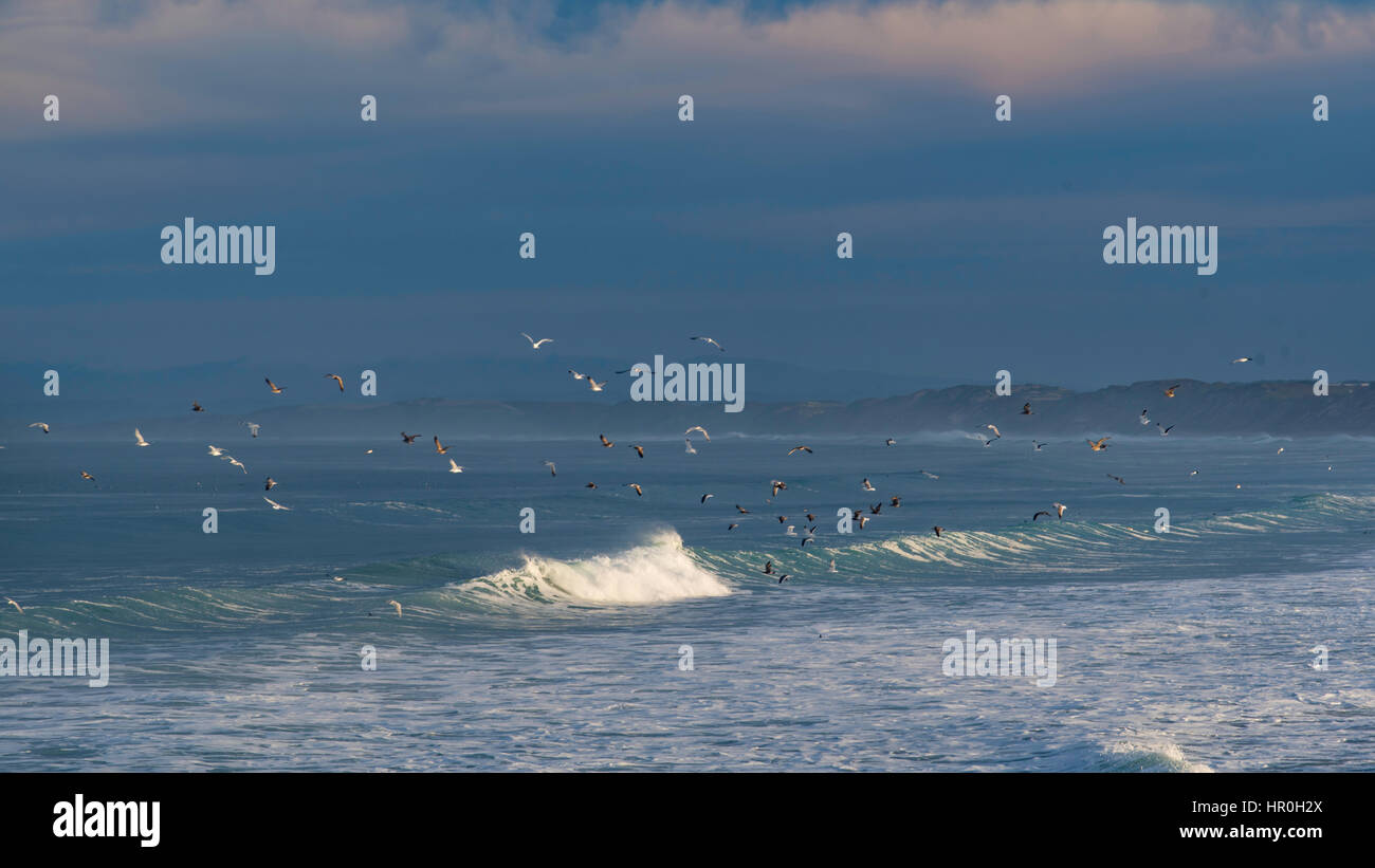 Surf rolling in on a beach near Monterey, California, USA Stock Photo Alamy