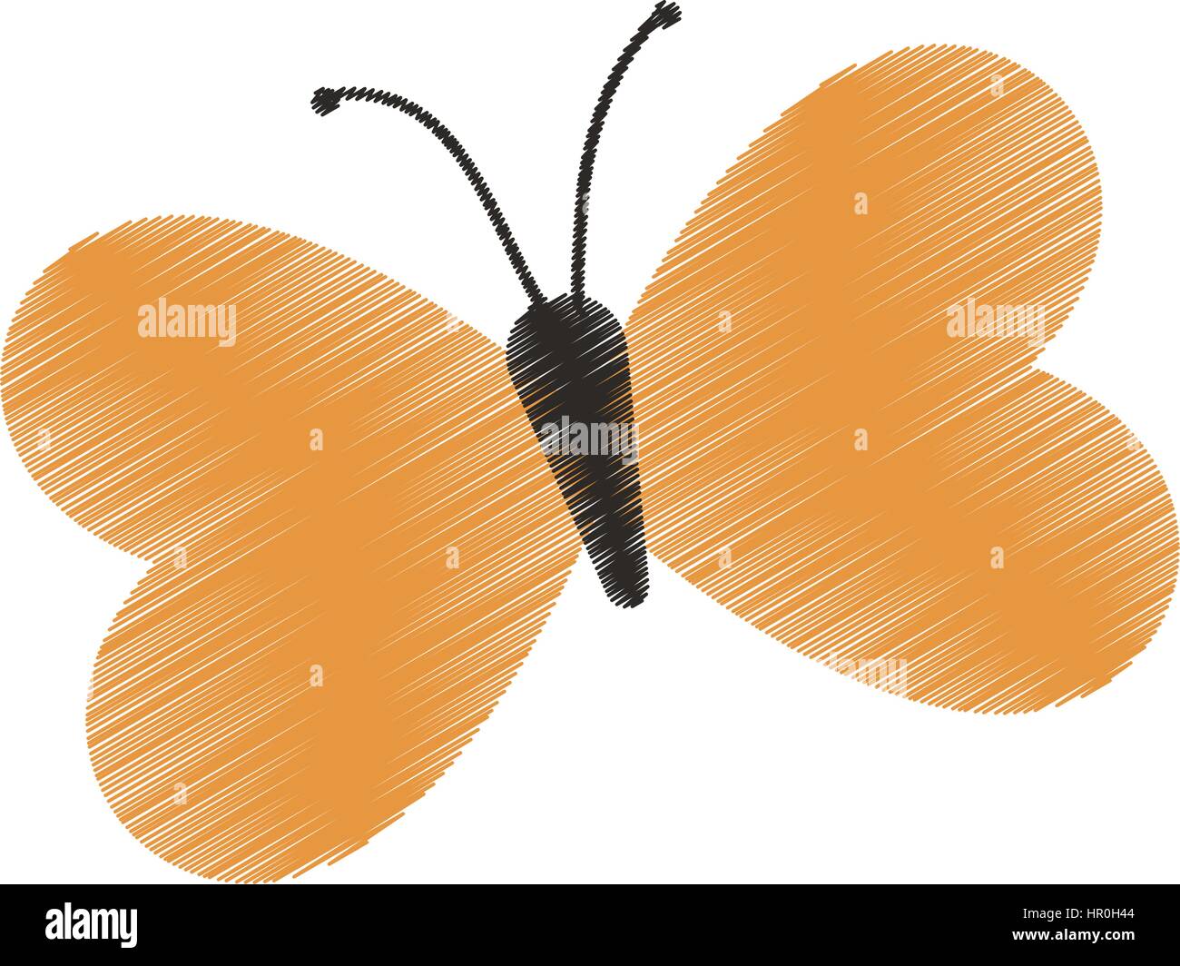 drawing yellow butterfly insect Stock Vector Image & Art Alamy