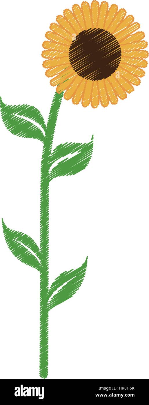 sunflower spring natural icon Stock Vector Image & Art - Alamy