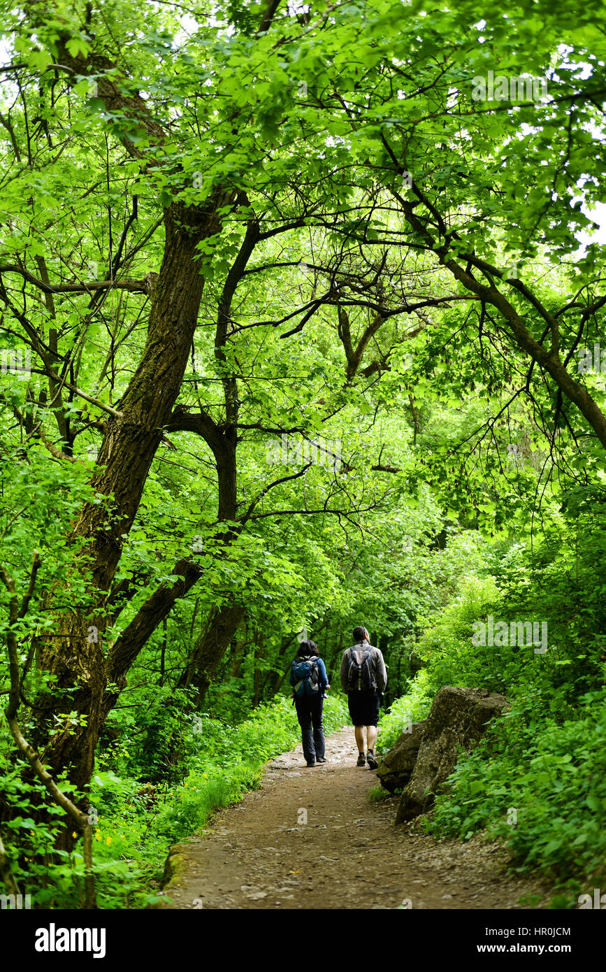 Couple walking in the forest Stock Photo - Alamy