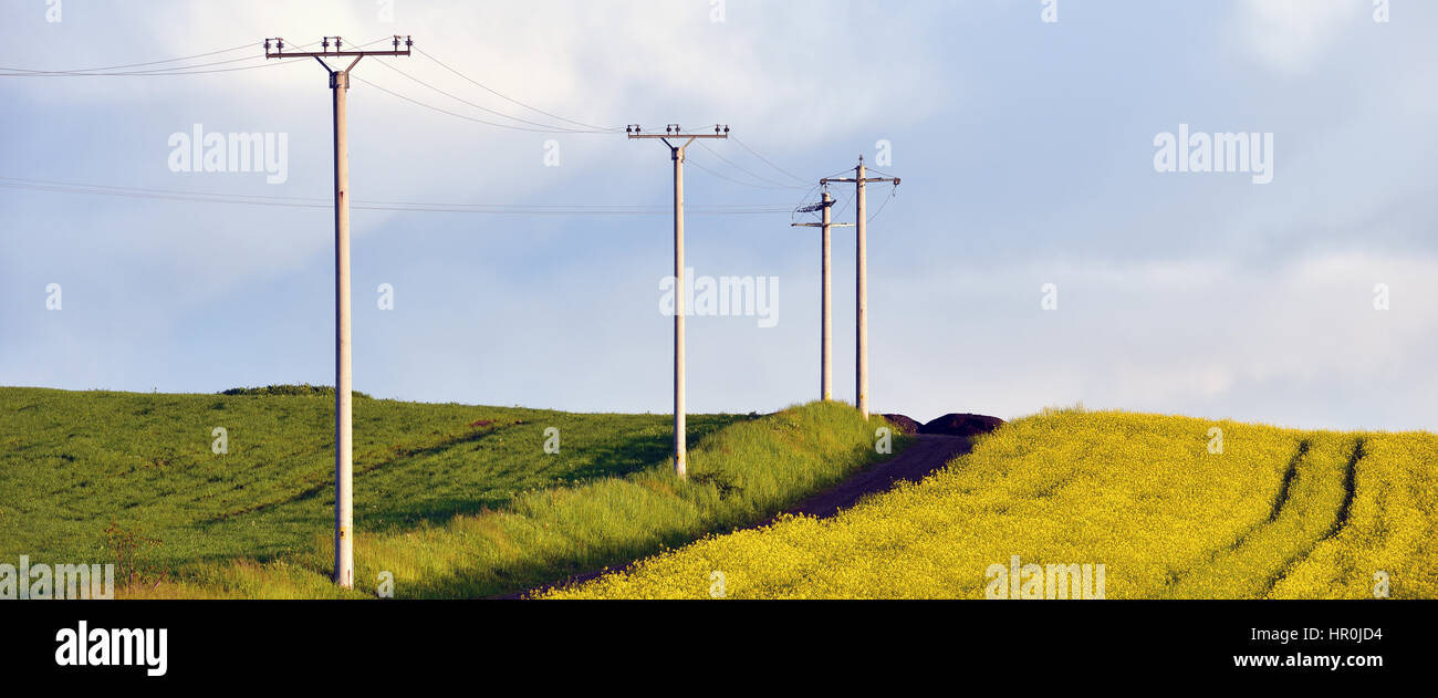 Electricity poles in an agricultural field Stock Photo - Alamy