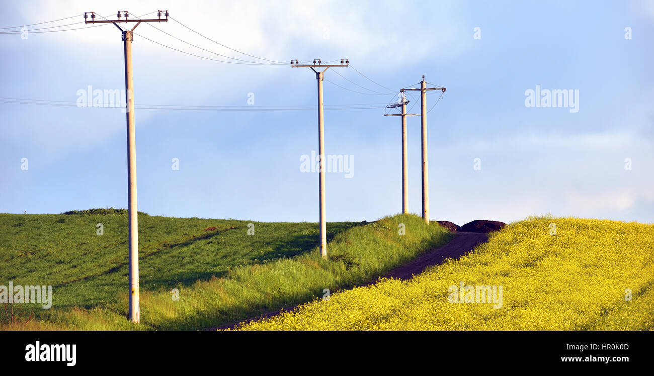Electricity poles in an agricultural field Stock Photo - Alamy
