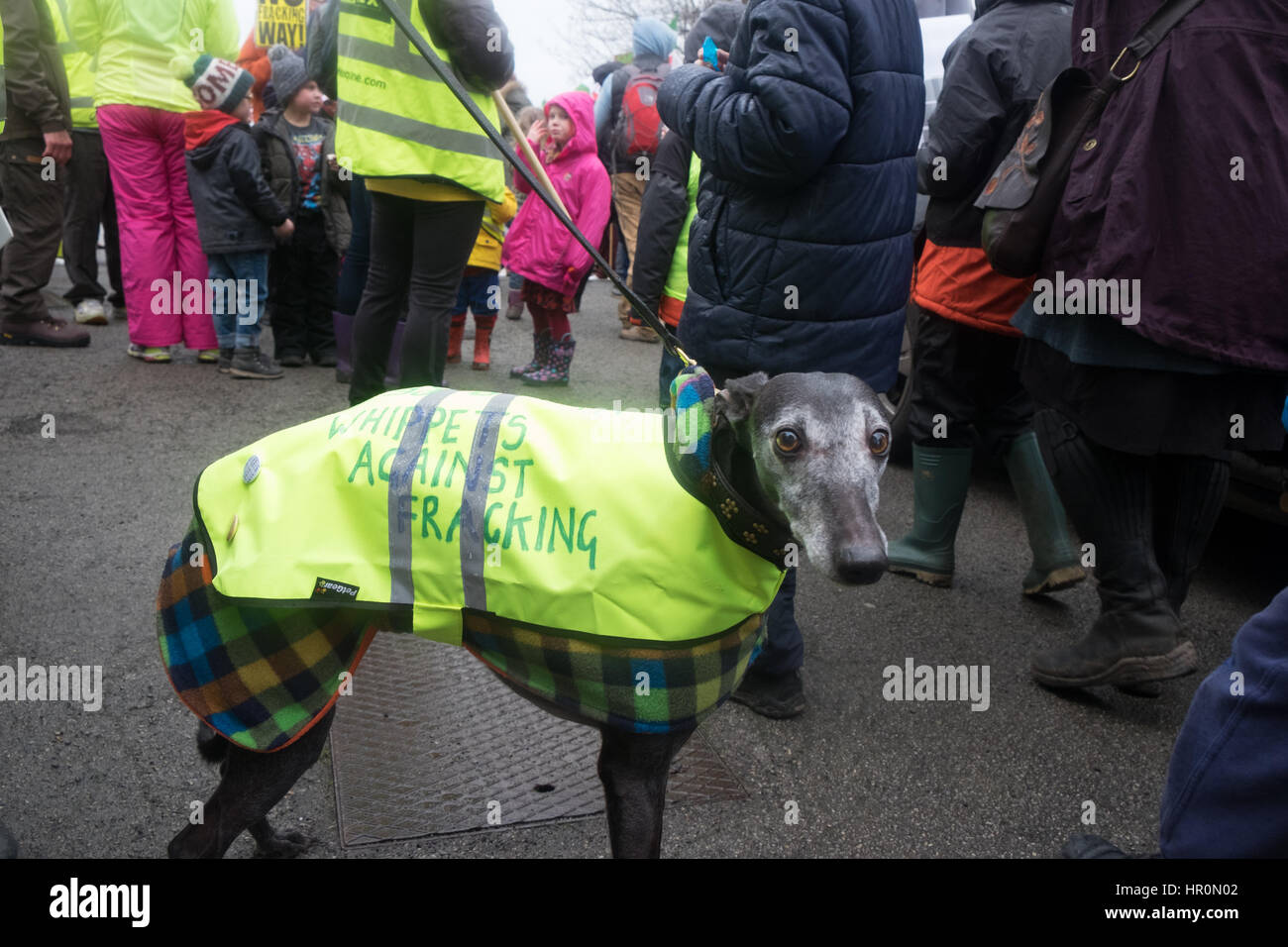 Eckington, UK. 25th Feb, 2017. Marsh Lane, Chesterfield, Derbyshire, UK, February 25th 2017, Peaceful demonstration against fracking by residents of a village who are opposed to proposals by INEOS to drill exploration wells in the nearby countryside. Credit: James Macfarlen/Alamy Live News Stock Photo