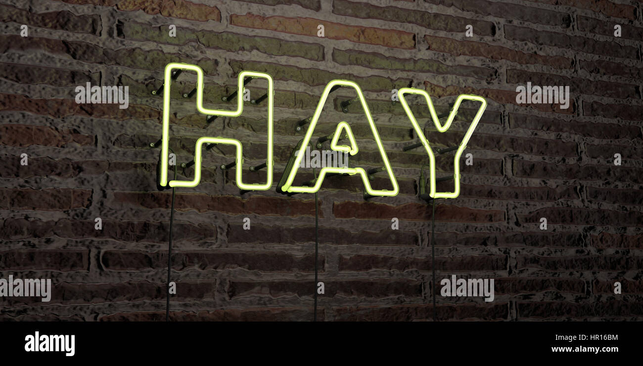 Hay Neon Tube, Buy Online Today