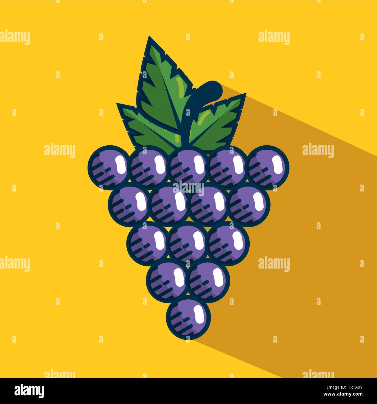 grapes fresh fruit handmade drawn Stock Vector Image & Art Alamy