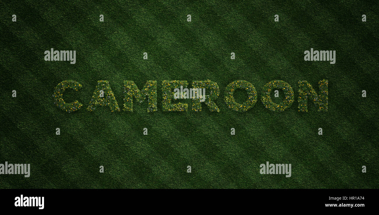 CAMEROON - fresh Grass letters with flowers and dandelions - 3D rendered royalty free stock image. Can be used for online banner ads and direct mailer Stock Photo