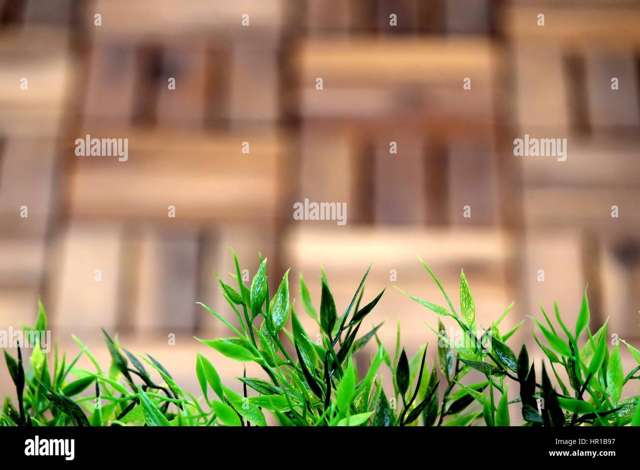Artificial grass garden hires stock photography and images Alamy