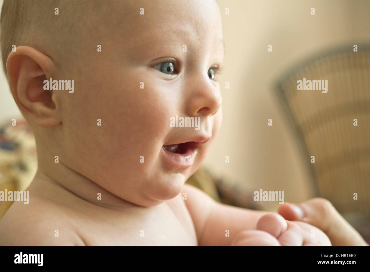 portrait of a 3 months old boy Stock Photo