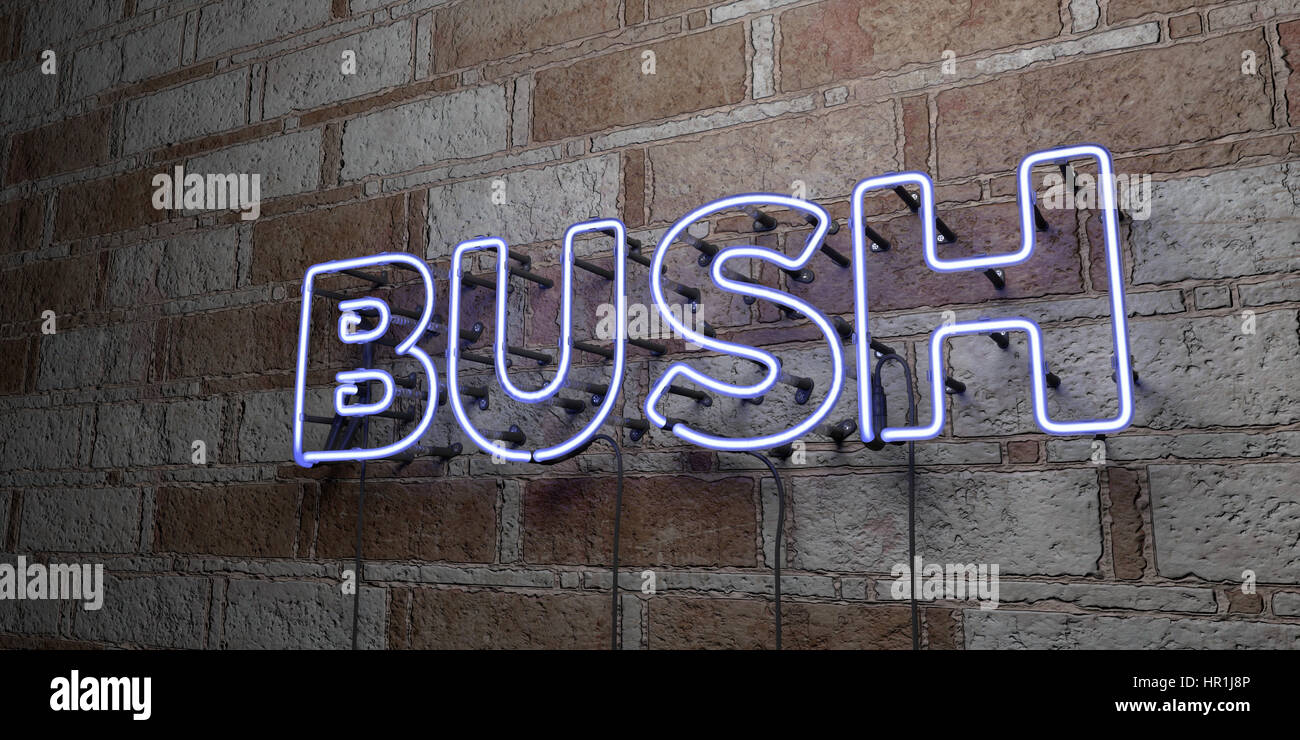 BUSH - Glowing Neon Sign on stonework wall - 3D rendered royalty free ...