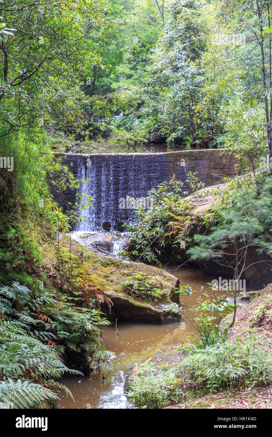 Boarding House Dam in Watagans national park in New south wales