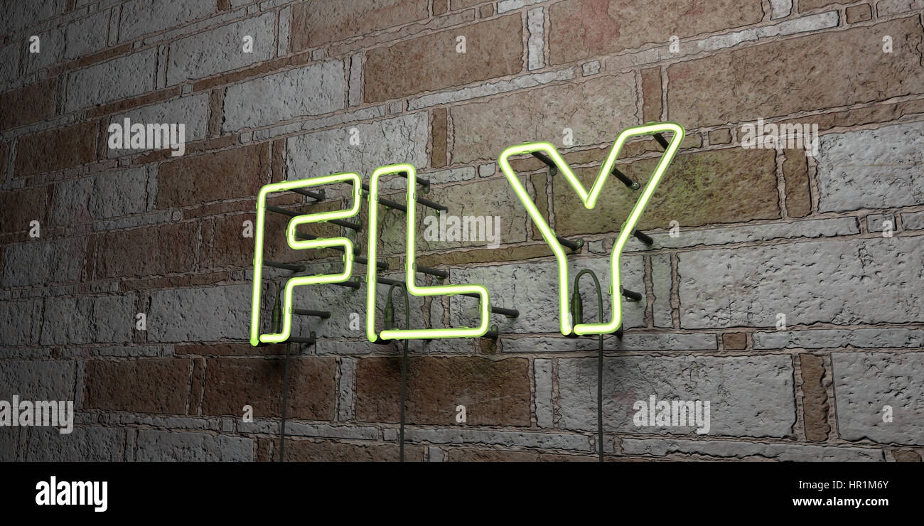 FLY - Glowing Neon Sign on stonework wall - 3D rendered royalty free ...