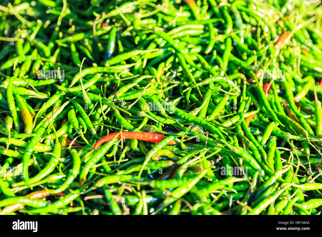 Lots of green chilies hi-res stock photography and images - Alamy