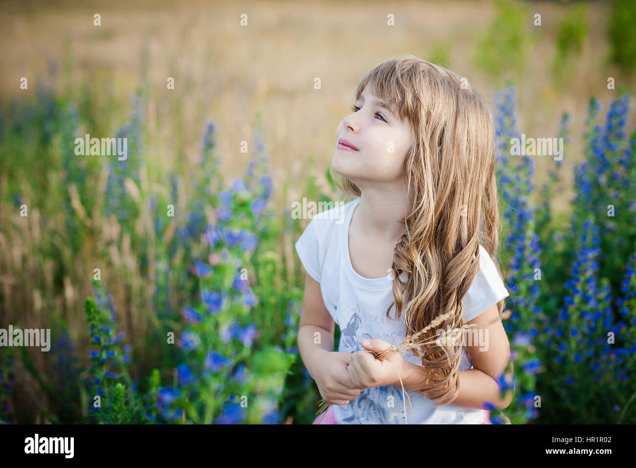 Little girl at the green field with blue flowers in sunset time Stock ...