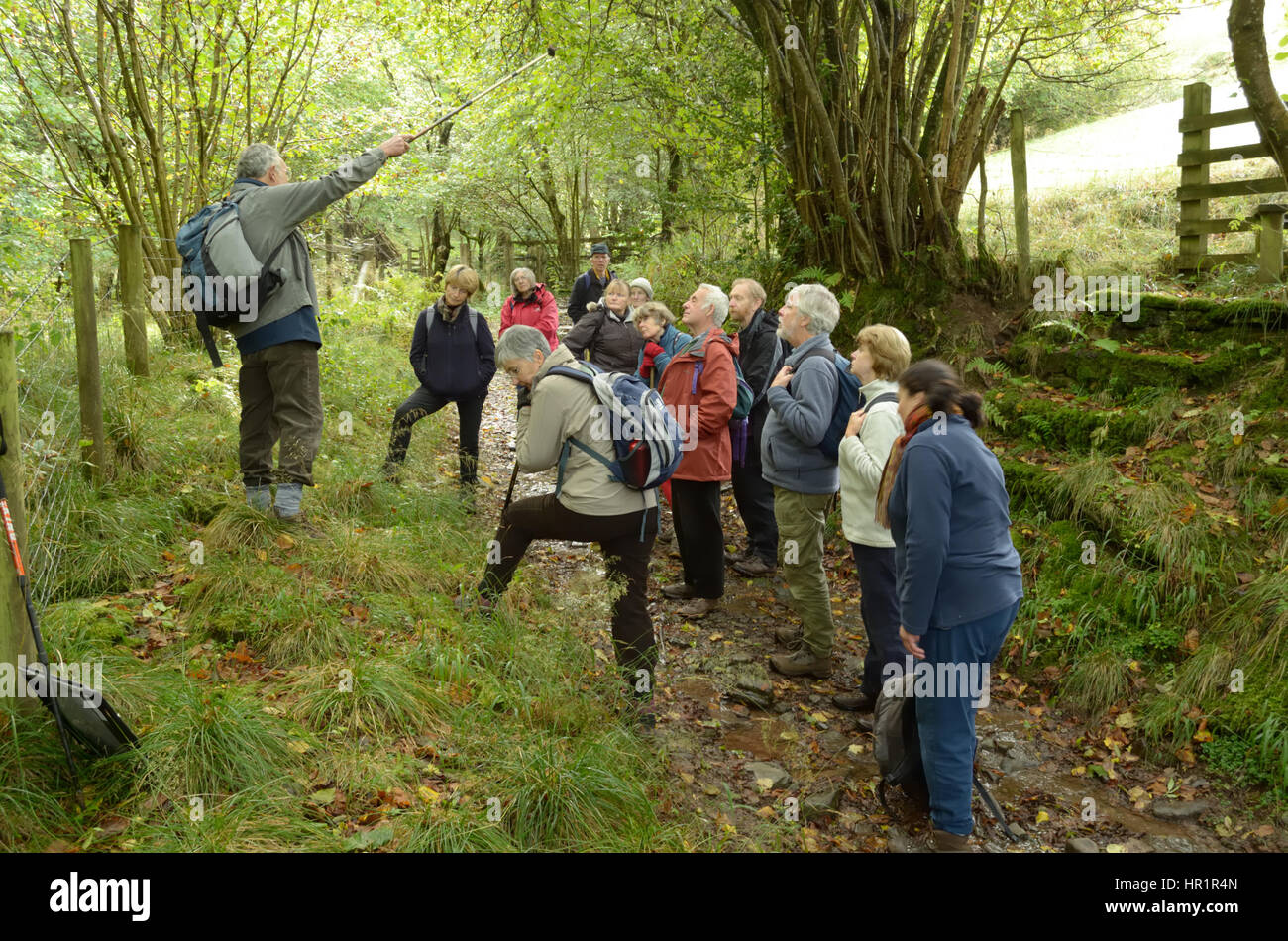 Walking Group in the Digedi Valley Stock Photo