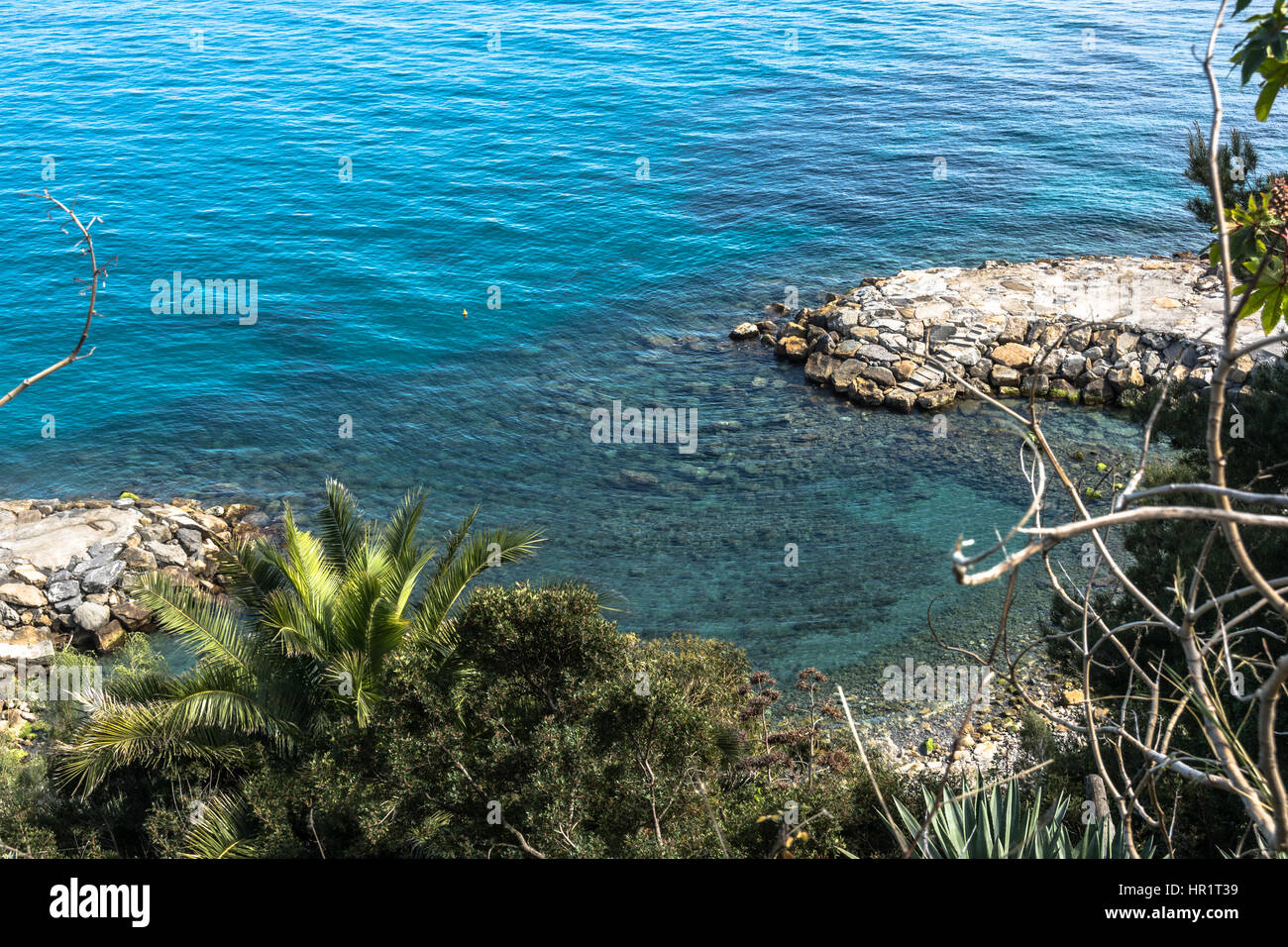 View of the coast of Sanremo with blue sea and succulent plants, Italy Stock Photo