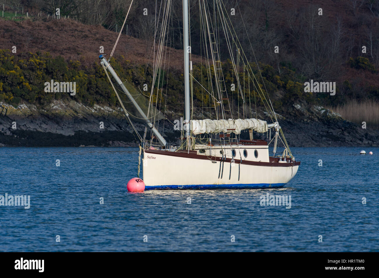 Classic wooden yacht on swinging mooring by Rudders Boatyard in the upper reaches of the Cleddau, Pembrokeshire, Wales Stock Photo